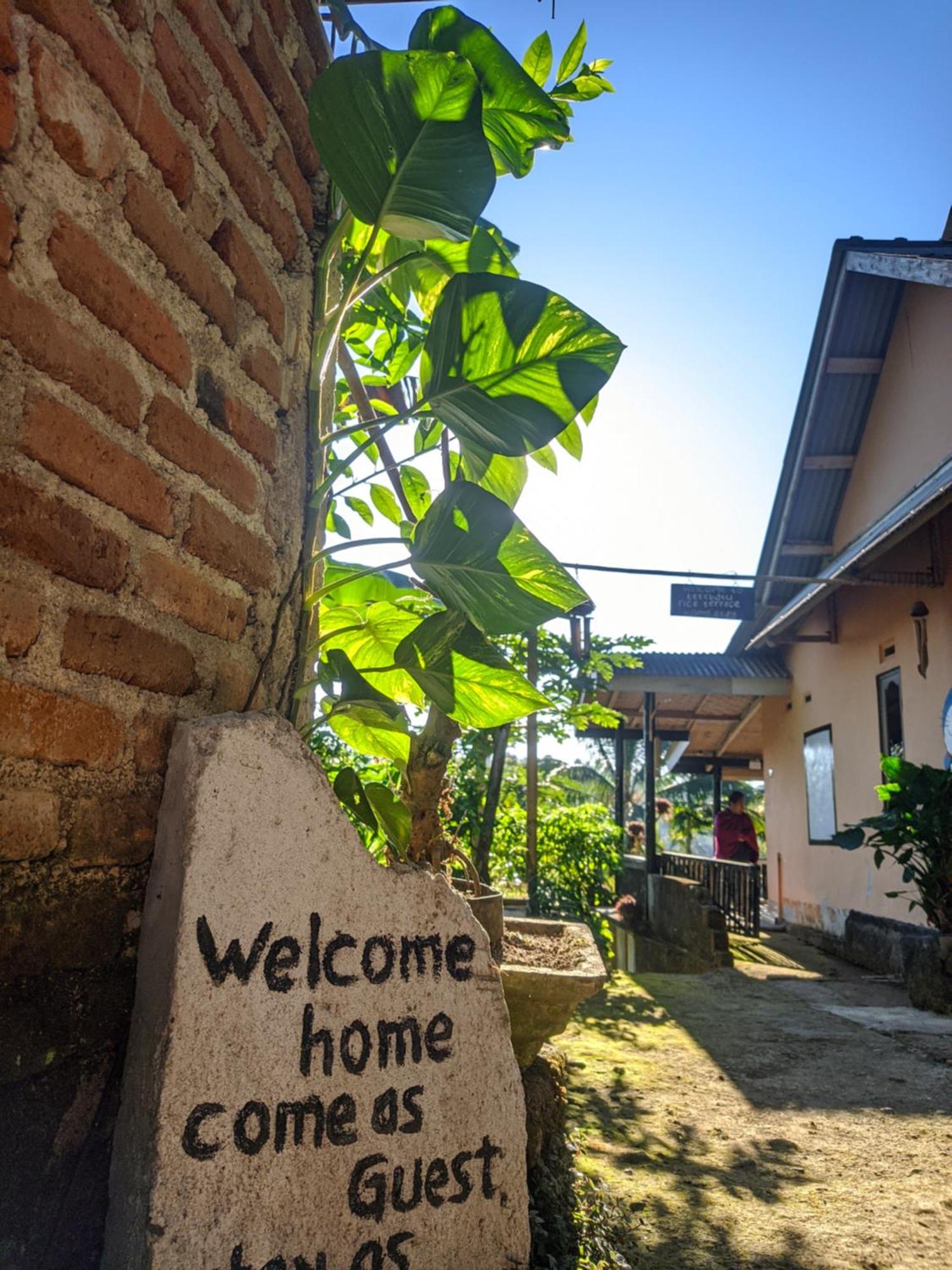 Tetebatu Mountain View Homestay Zimmer foto